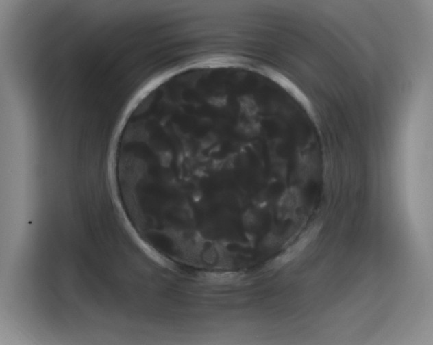 X0000114191429200910161155