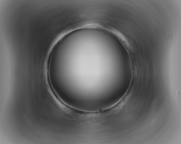 X0000114191430200910161155