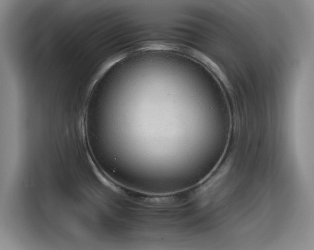 X0000114191433200910161155