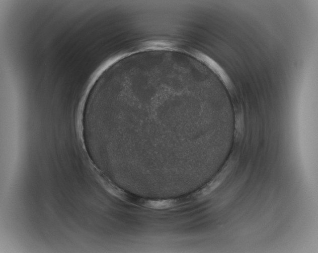 X0000114191435200910161155
