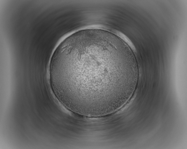 X0000114191436200910161155