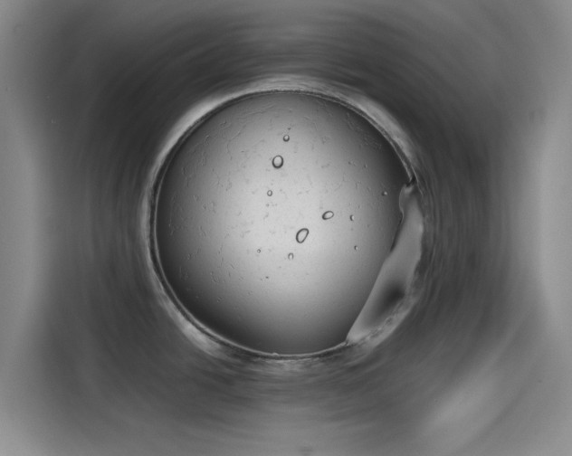 X0000114191438200910161155