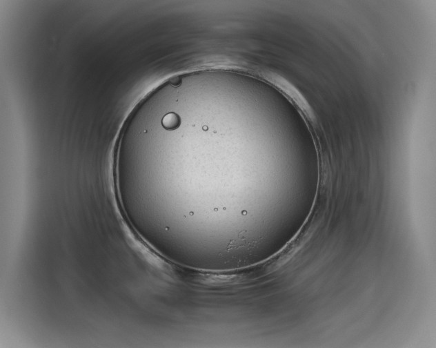X0000114191439200910161155