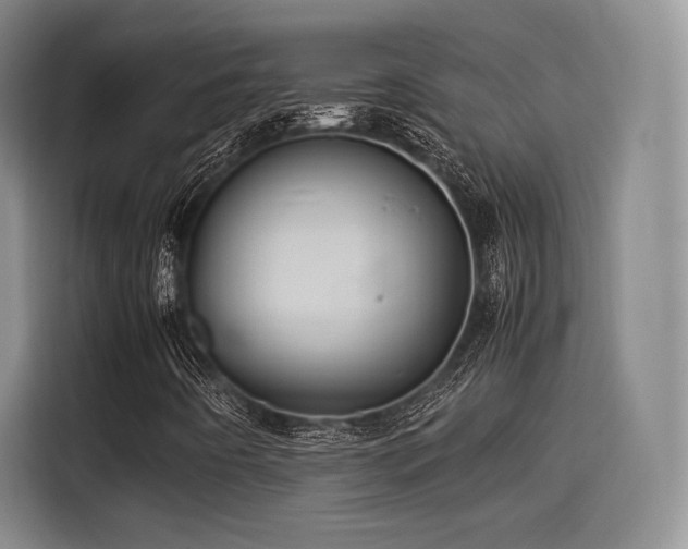 X0000114191442200910161154