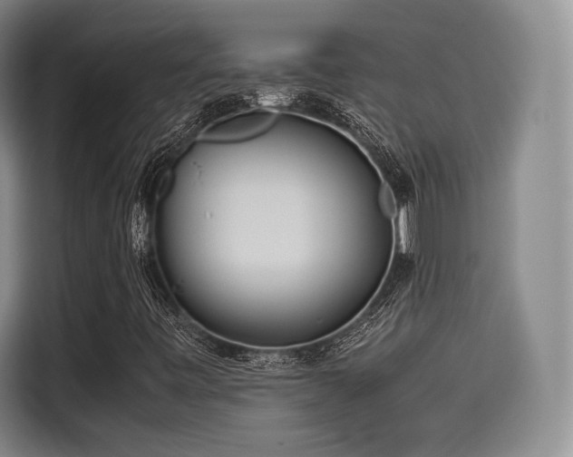 X0000114191443200910161154