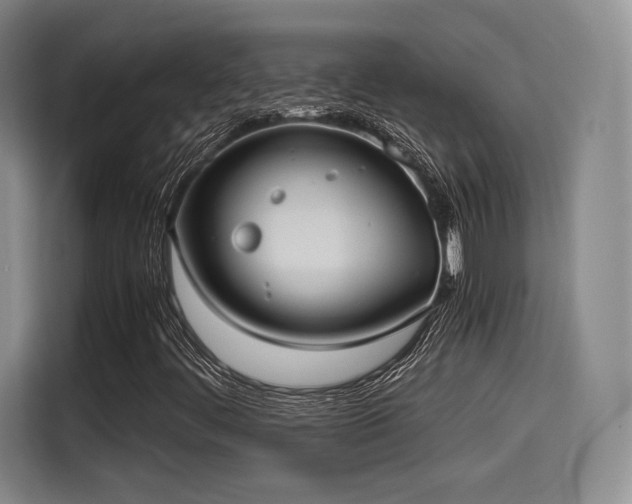 X0000114191444200910161154