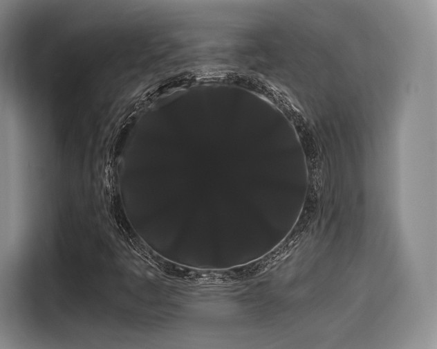 X0000114191445200910161154