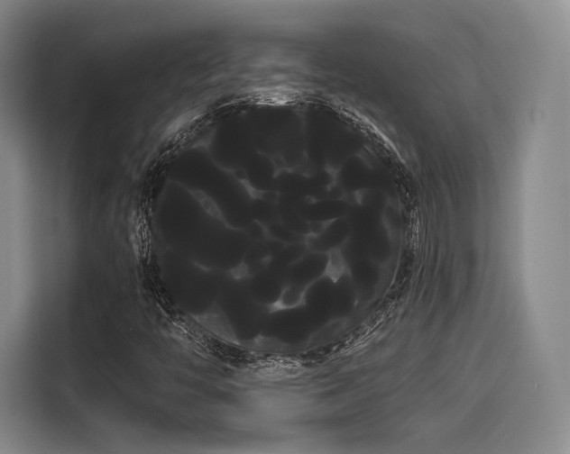 X0000114191446200910161154