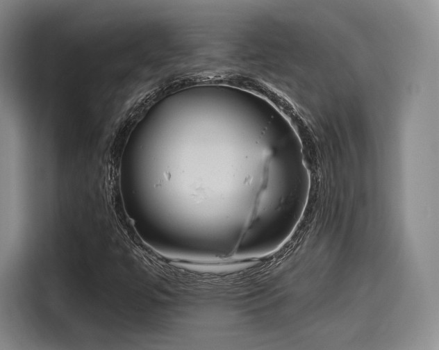 X0000114191447200910161154