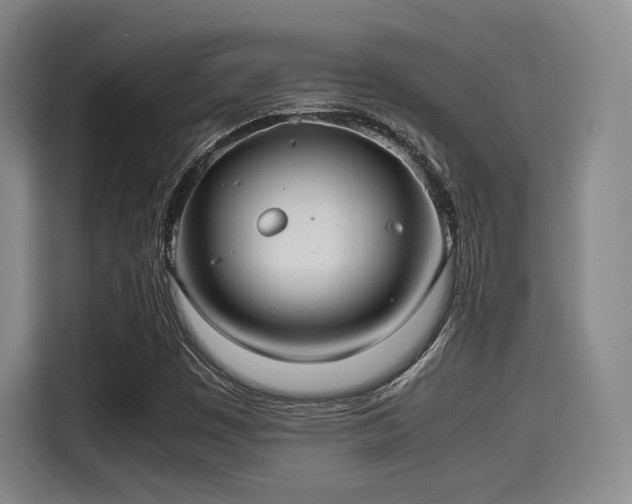X0000114191449200910161154
