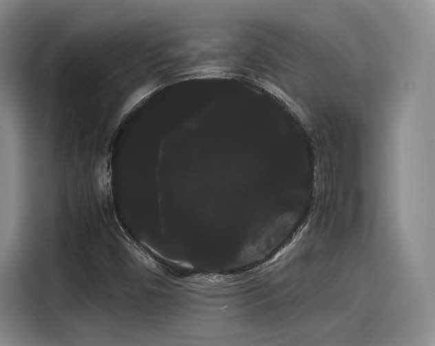 X0000114191450200910161154