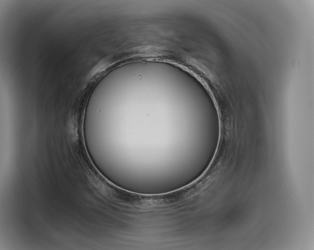 X0000114191451200910161154