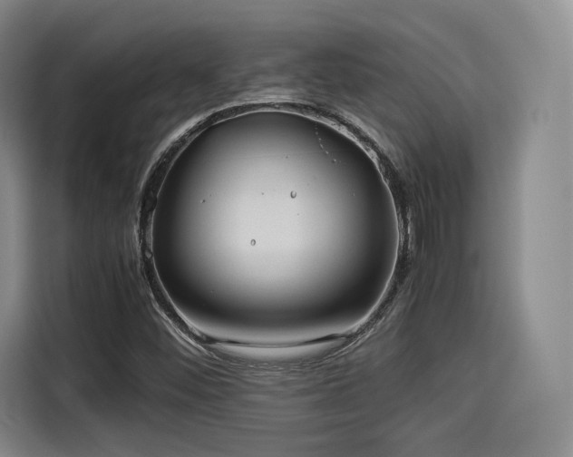 X0000114191452200910161154