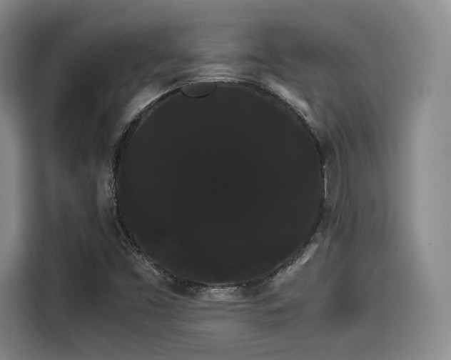 X0000114191453200910161154