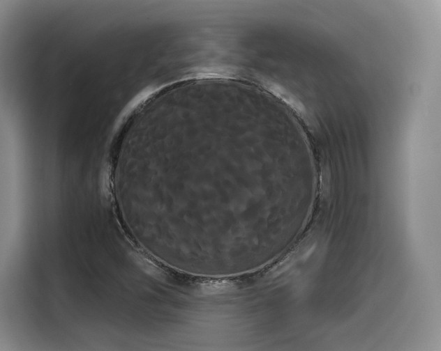 X0000114191454200910161154