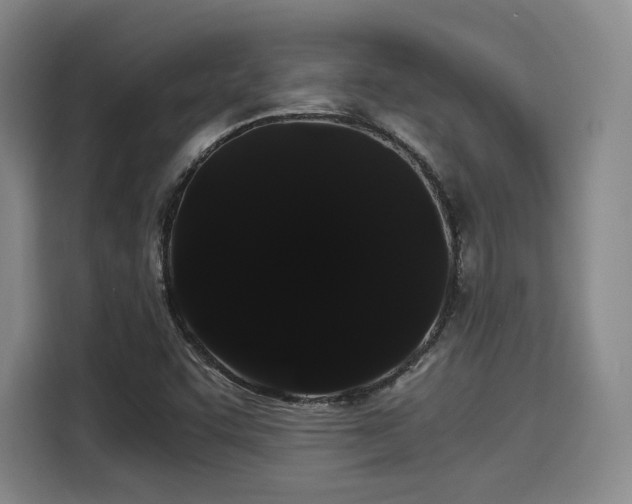 X0000114191455200910161154