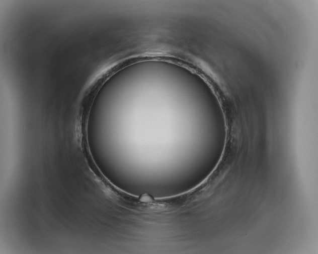 X0000114191456200910161154