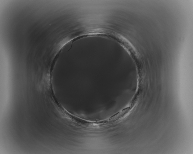 X0000114191457200910161154