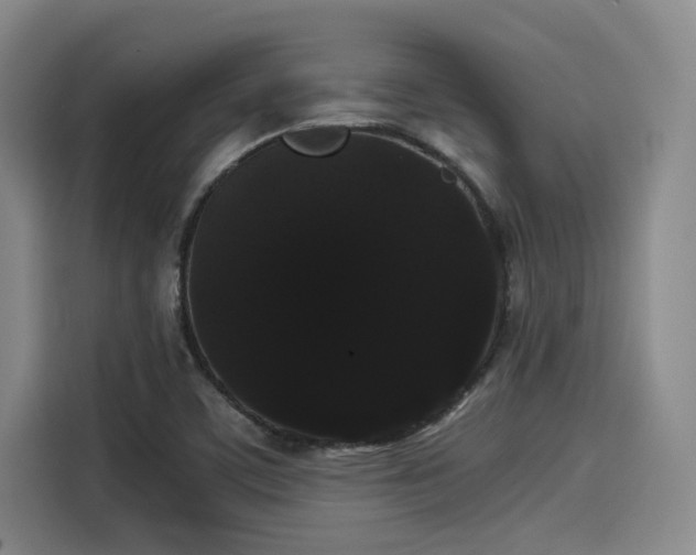X0000114191459200910161154