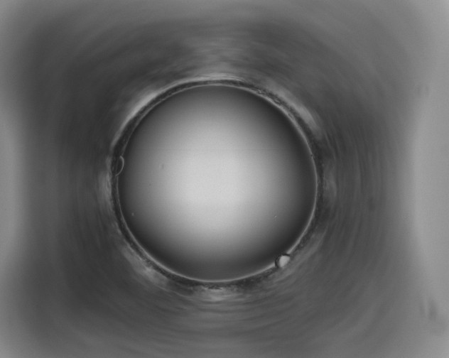 X0000114191460200910161154