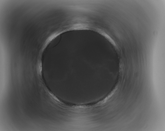 X0000114191461200910161154