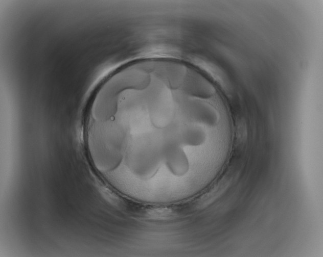 X0000114191462200910161154