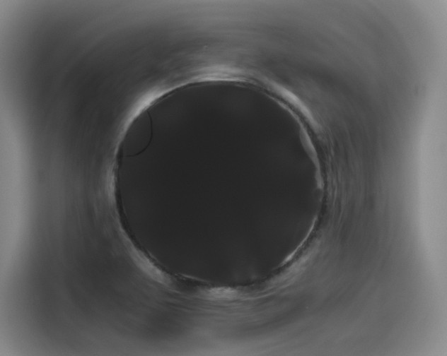 X0000114191463200910161154