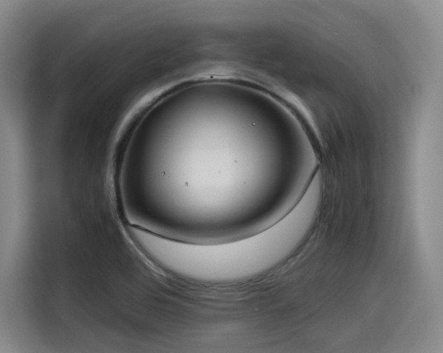 X0000114191464200910161154