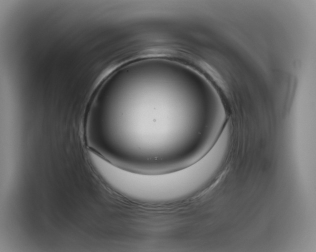X0000114191465200910161154