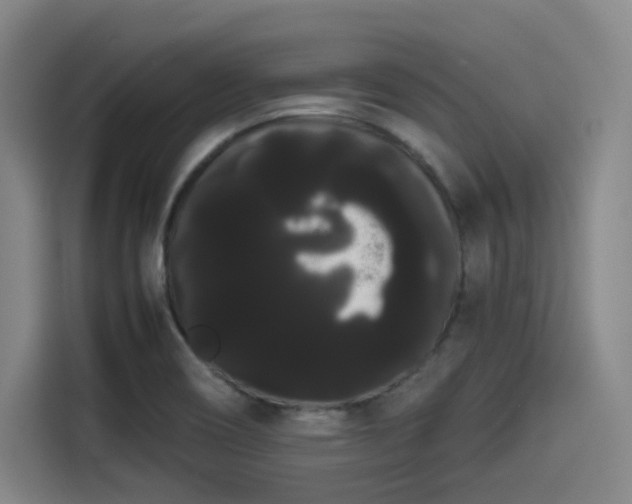 X0000114191466200910161154