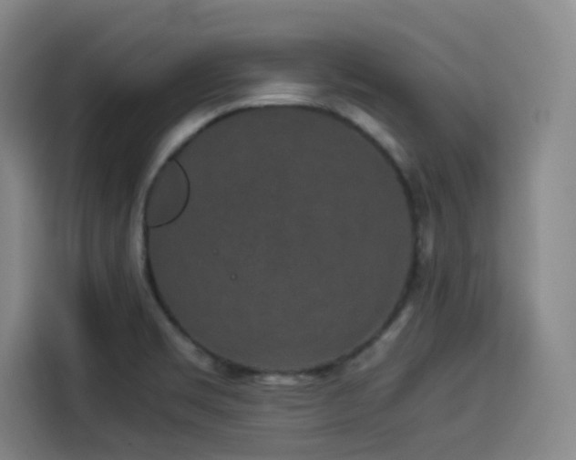 X0000114191469200910161154
