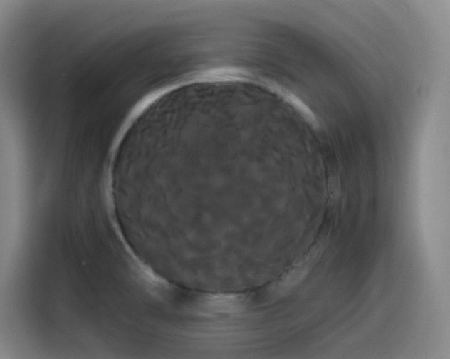 X0000114191470200910161154