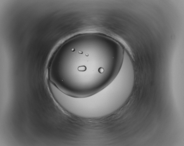 X0000114191472200910161154