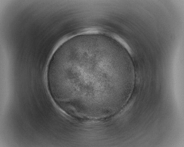 X0000114191475200910161154