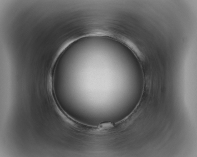 X0000114191476200910161154
