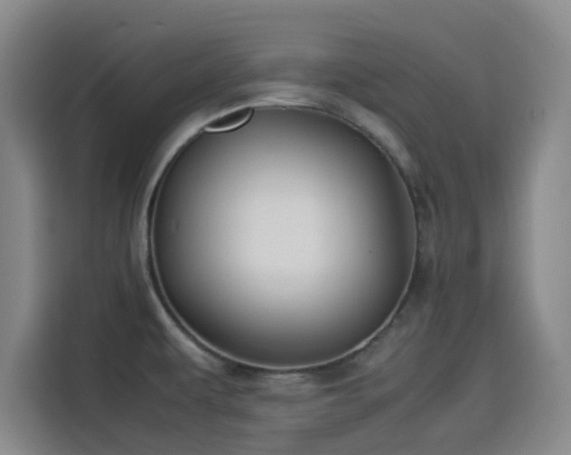 X0000114191479200910161154