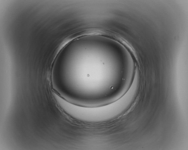 X0000114191481200910161154