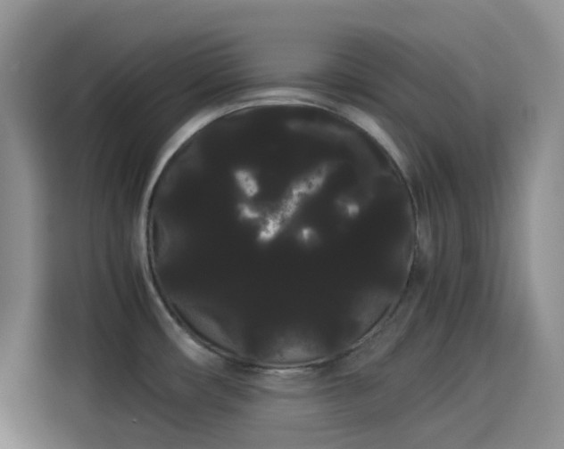 X0000114191482200910161154