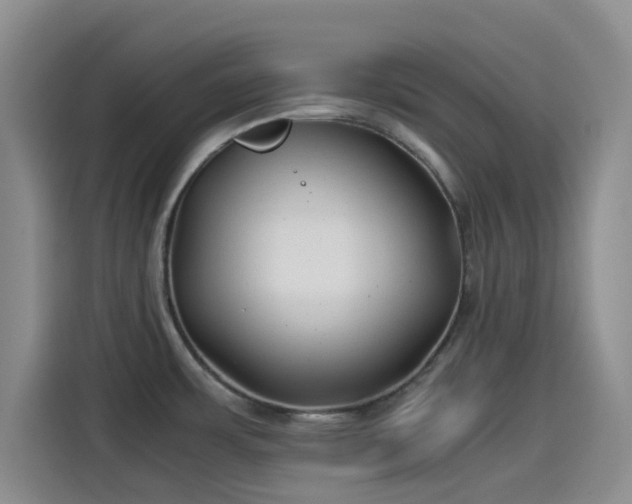 X0000114191483200910161154