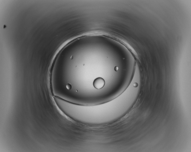 X0000114191484200910161154