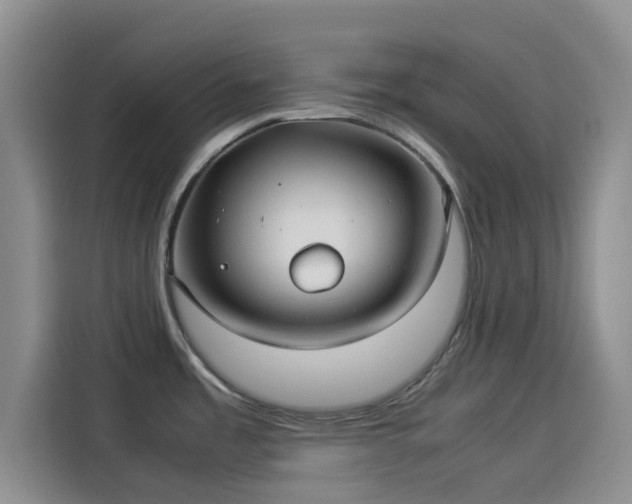 X0000114191485200910161154