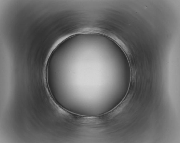 X0000114191486200910161154