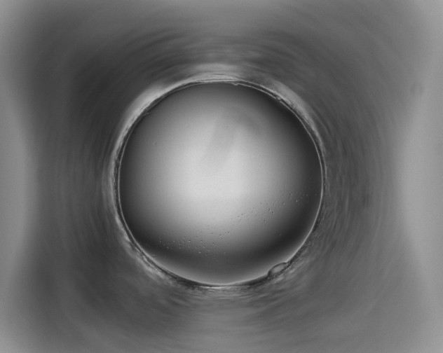 X0000114191488200910161154