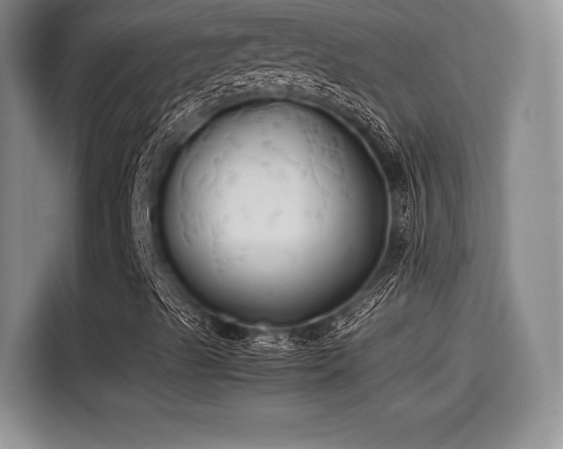 X0000114191489200910161153