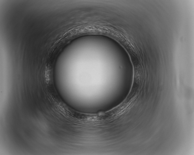 X0000114191490200910161153