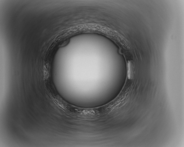 X0000114191491200910161153