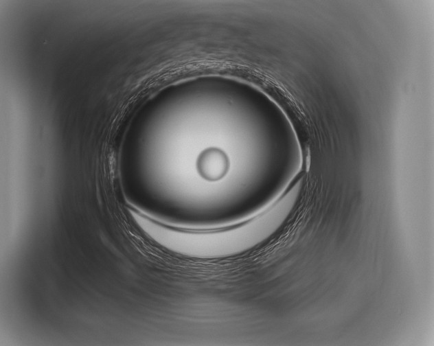 X0000114191492200910161153