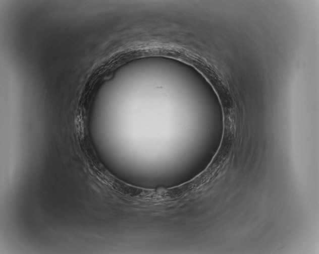 X0000114191493200910161153