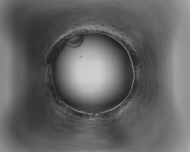 X0000114191494200910161153