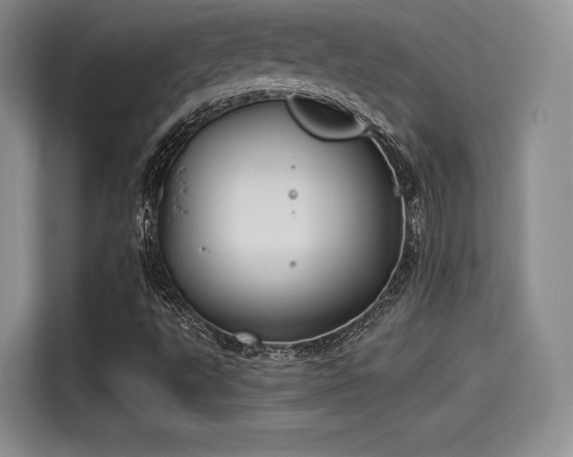 X0000114191495200910161153